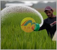 The current situation of China urea